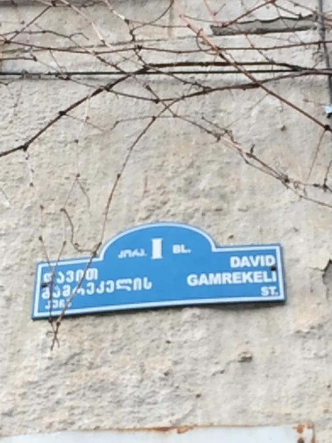 Vip Apartment At Gamrekeli Str 1 Tbiliszi Kültér fotó